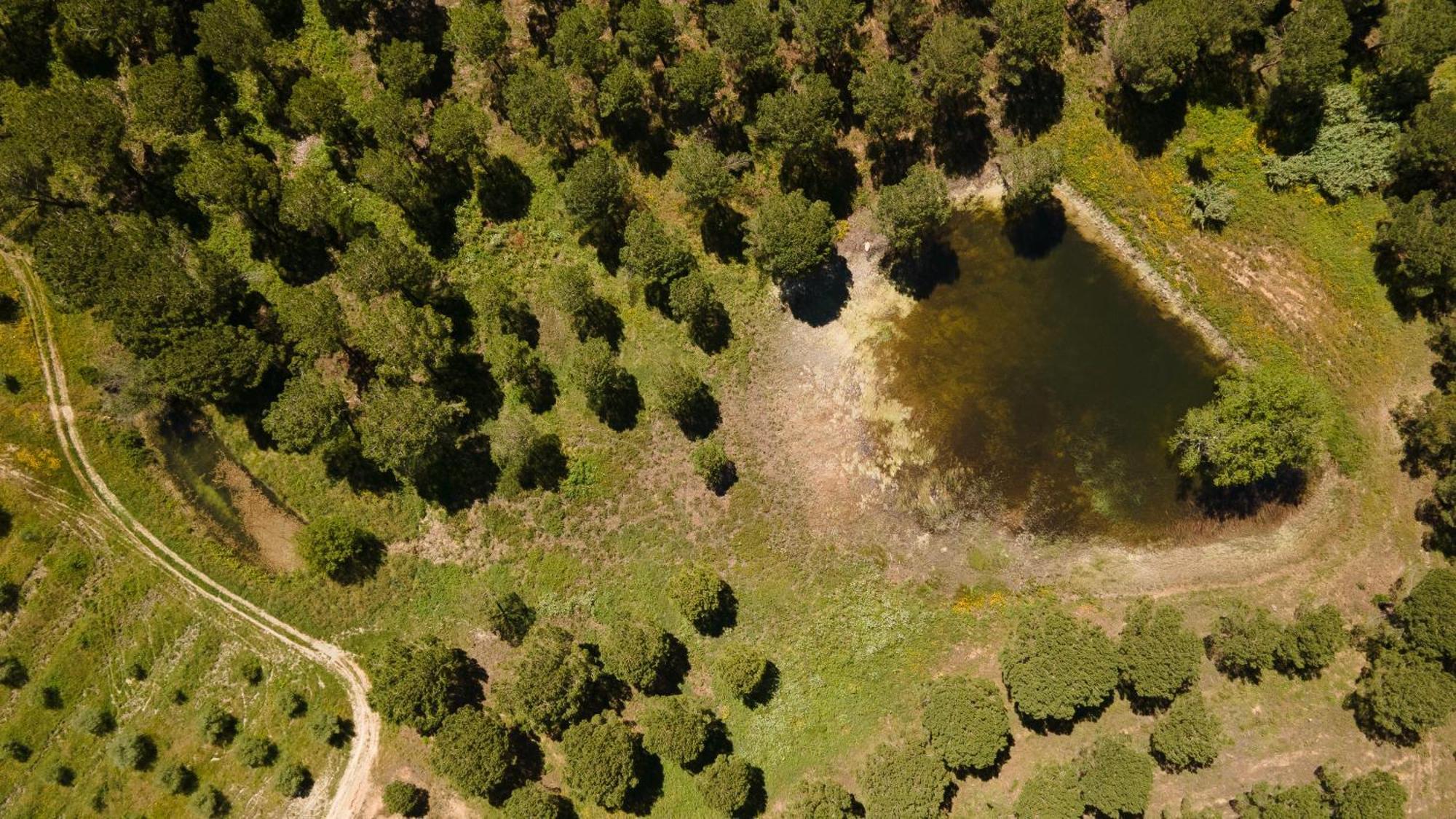 Resort Rural Quinta Do Carrascal Santarem Bagian luar foto